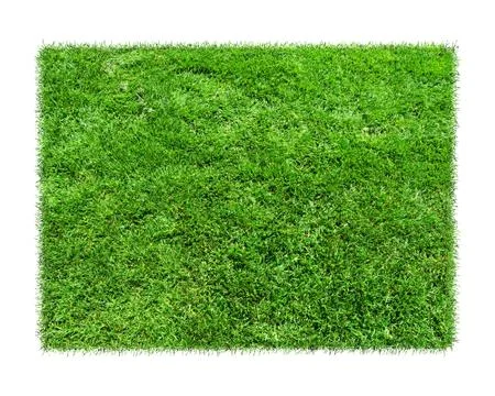 Grass is green rectangles on white background. Stock Illustration