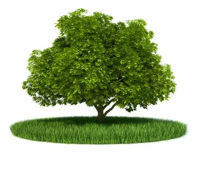Grass green tree ring Stock Illustration