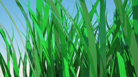 Grass greens Stock Footage 42773452