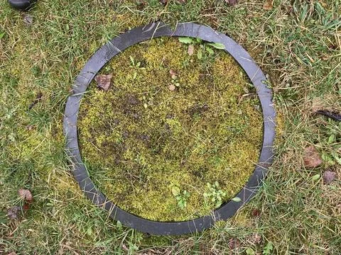Grass grew in the spring in the garden plot Stock Photos