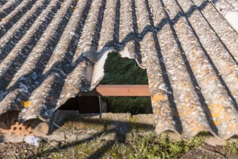 The grass in the ground seen through the broken hole in the roof of an abandoned Stock Photos