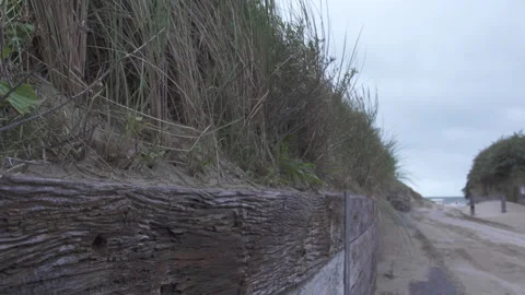 Grass Growing along a Welsh Beach Stock Footage 293095384