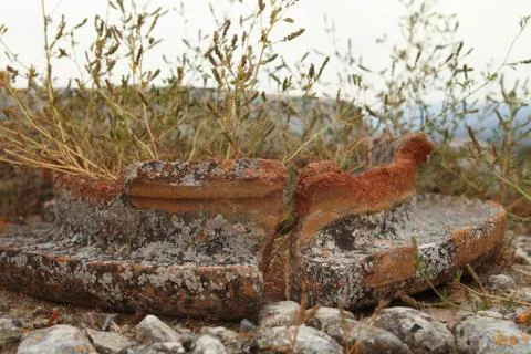Grass growing in ancient pot Stock Photos