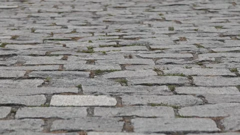 Grass growing between cobblestones on a pavement Stock-Footage 315359029