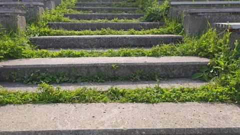 Grass growing between concrete steps Vidéo 315360998