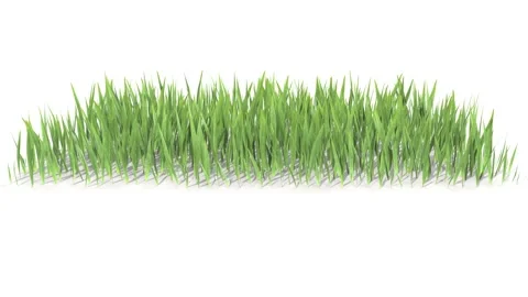 Grass growing from center to sides. 3D rendering. Video stock 134973317