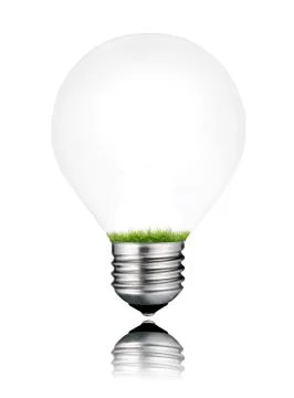Grass Growing Inside Light Bulb Isolated Stock Photos