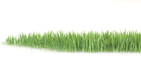 Grass growing from right to left. 3D rendering. Video stock 134976436
