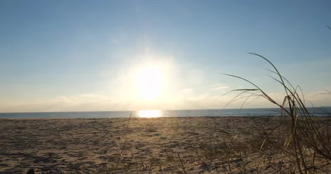 Grass growing in sand on beach at sunset, blowing in breeze. Slide left Stock Footage 146669119