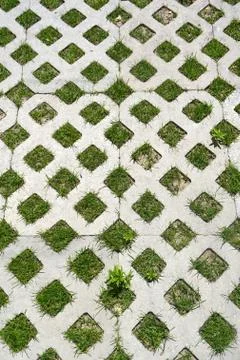 Grass growing through a checkerboard pattern of concrete, in an urban garden. Foto stock