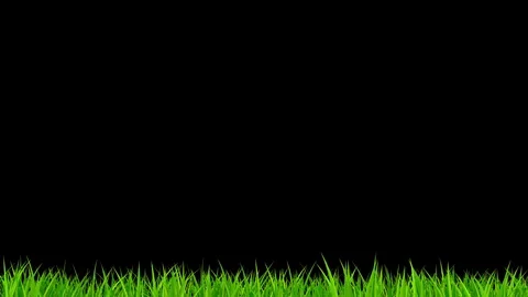Grass growing timelapse with alpha matte isolated on black Stock Footage 83257640