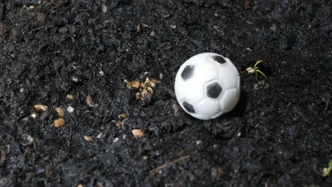 The grass grows around and down a soccer ball. Stock Footage 149071018