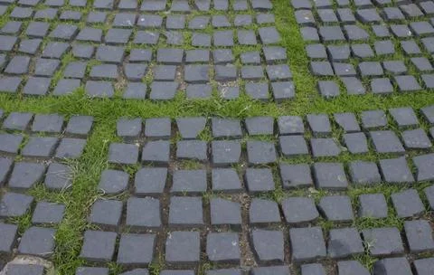 Grass grows between the stone tiles; natural textures Stock Photos