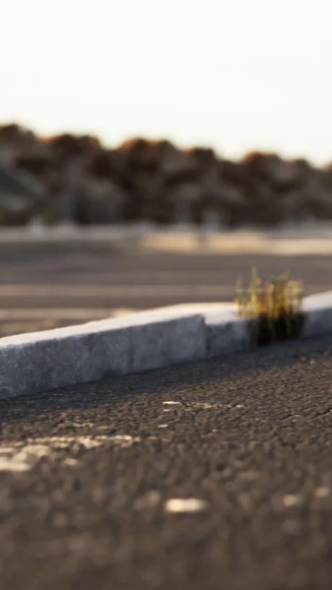 Grass grows on pavement in an empty parking lot during sunset Stock-Footage 338380378