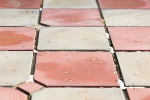 Grass grows on the paving slabs Stock Photos