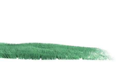 Grass grows stripe, sways in the wind and disappears. Stock Footage 68843335