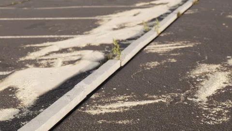Grass grows through cracks on a parking lot in an urban area during the day Stock-Footage 338324450