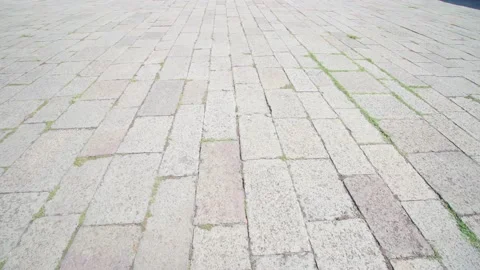 Grass grows through old grey tile of city stone pavement Stock Footage 162477989