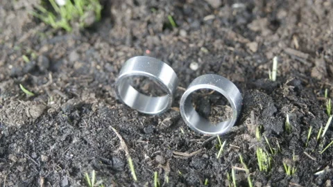 The grass grows under two wedding rings. Video stock 149110859