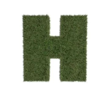 Grass H Stock Illustration