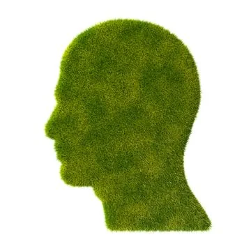 Grass head profile icon Stock Illustration