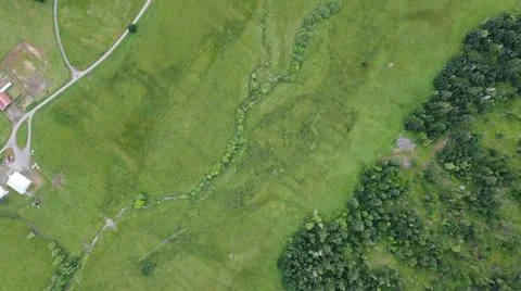 Grass from high above Foto stock