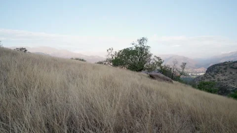 Grass on the hill and mountains Stock Footage 304085273