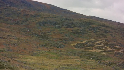 Grass Hill With Rocks Видео 75563992