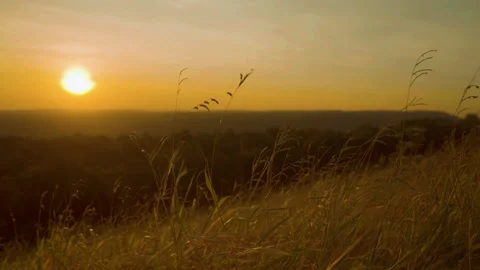 Grass on hill of sunrise sky background view Stock Footage 260730591