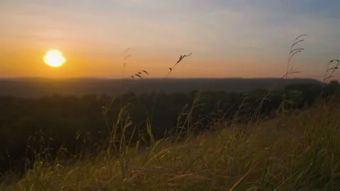 Grass on hill of sunrise sky background view Stock Footage 260730795