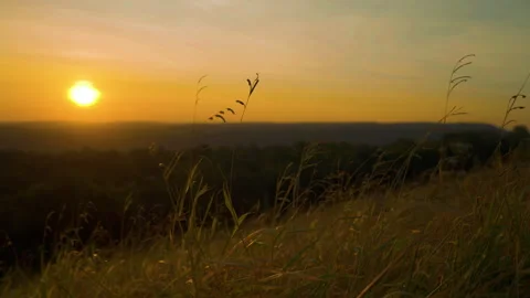 Grass on hill of sunrise sky background view Stock Footage 260764355