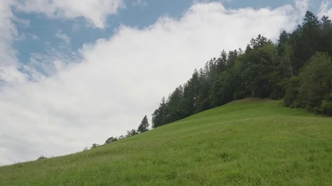 Grass hill with trees Video stock 127577916