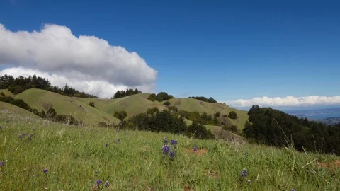 GRASS HILLTOP Stock Footage 94713835