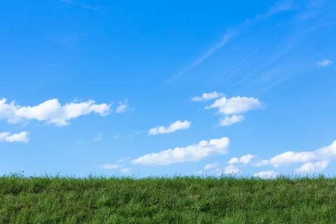 Grass horizon Stock Photos