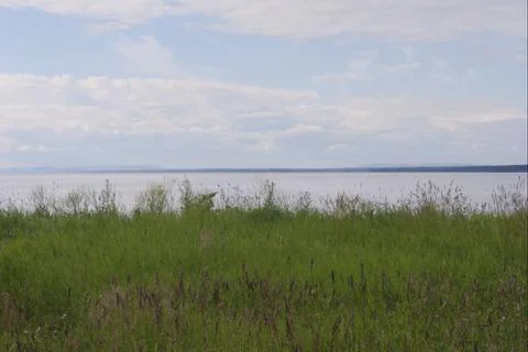 Grass &amp; Horizon Stock Photos