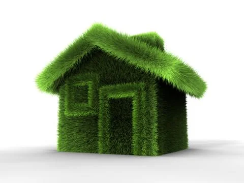 Grass house 库存插图