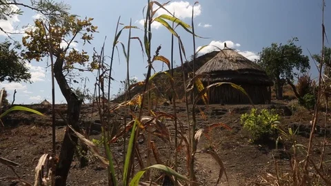 Grass Hut Home In Remote Uganda Africa Stock Footage 102153672