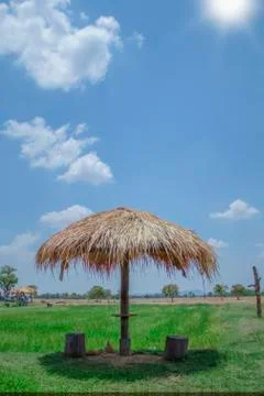 Grass hut in rice fields Stock Photos