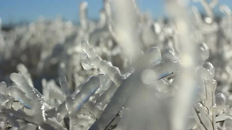 Grass ice Stock Footage 47264561