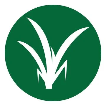 Grass icon illustration design Illustrazione stock