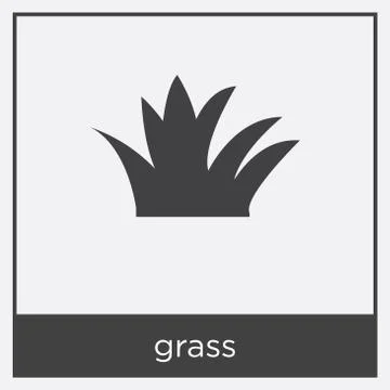 Grass icon isolated on white background Stock Illustration
