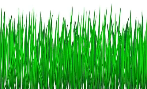 Grass Illustrazione stock