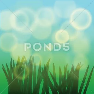Grass Stock Illustration