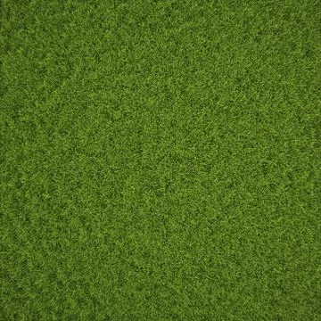 Grass Ilustração Stock