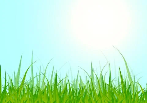 Grass Stock Illustration