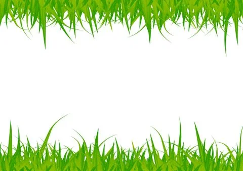 Grass Stock Illustration