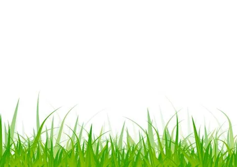 Grass Stock Illustration
