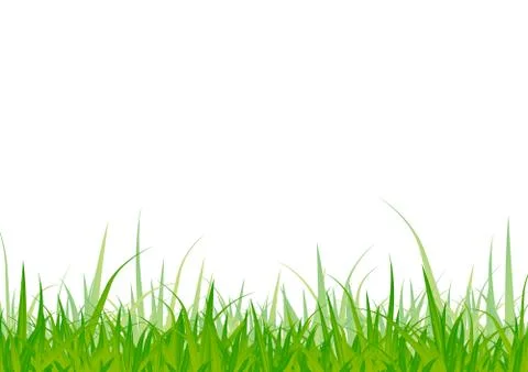 Grass Stock Illustration
