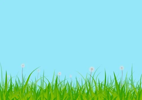 Grass Stock Illustration
