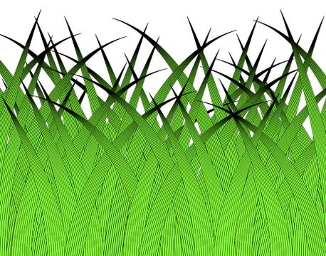 Grass Stock Illustration